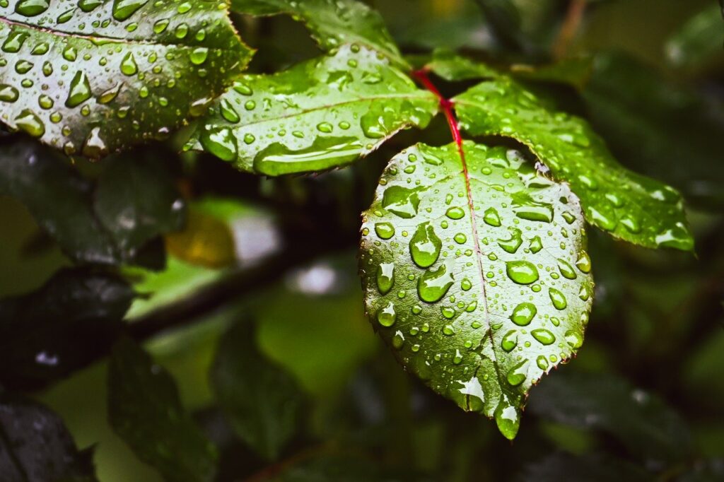 50代女性のためのデリケートゾーン保湿の重要性とは？