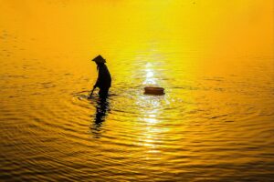 イビサクリームのビフォーアフターでどれだけ変わるのか？