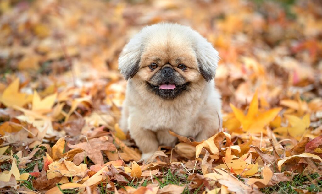 黒ずみに効果的な石鹸のクチコミランキングは？