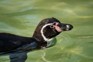 黒ずみケアに最適なおすすめジェルは？