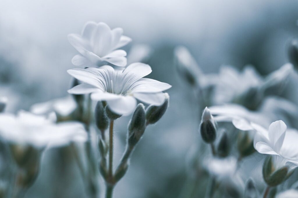 デリケートゾーンの黒ずみ解消に効果的なソープの評判は？