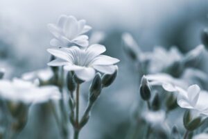 デリケートゾーン専用ソープのおすすめはこれで決まり？