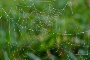 デリケートゾーン美容液の使い方は？どれがいいか徹底解説！